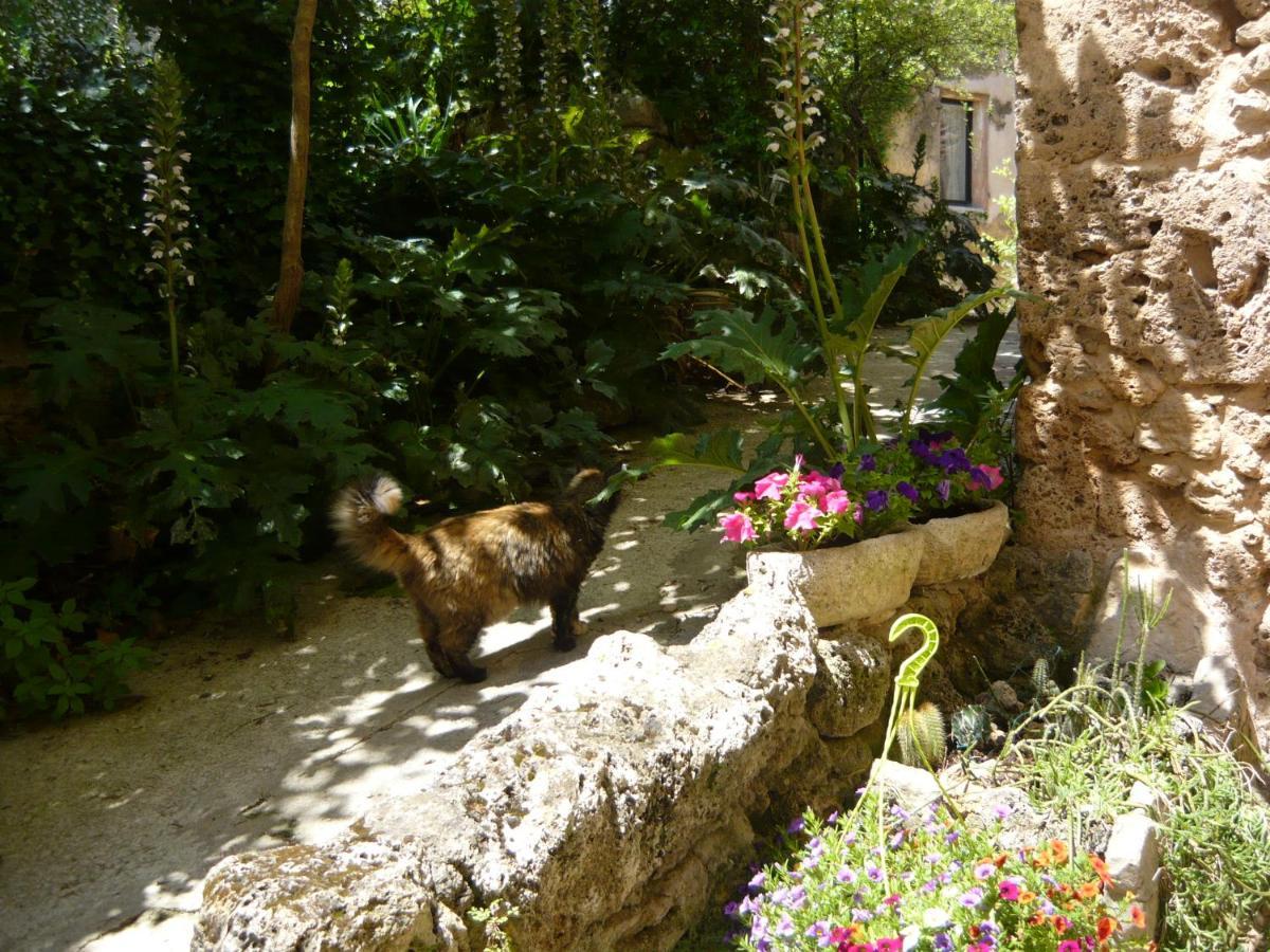 Le Pra De Pe Bed & Breakfast Котиняк Екстериор снимка